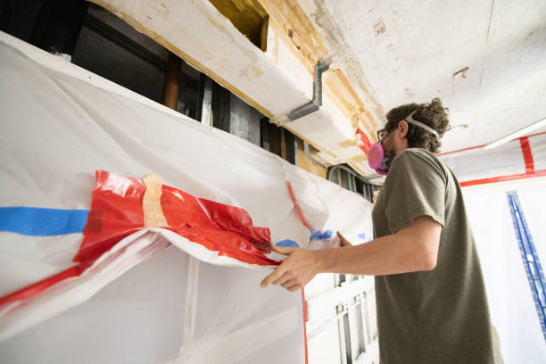 Best Basement Mold Removal  in Voorheesville, NY