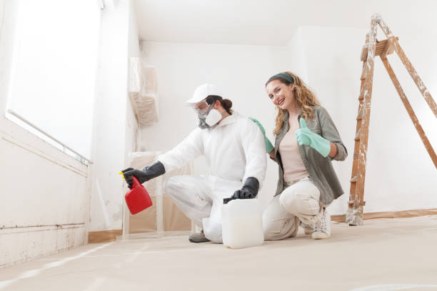 Best Industrial Mold Remediation  in Voorheesville, NY